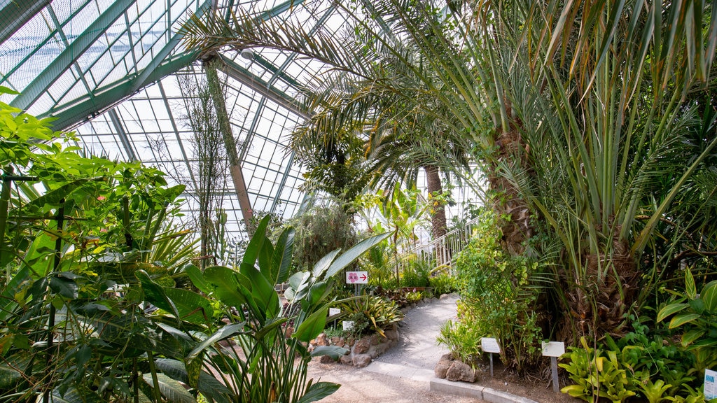 Hakodate Tropical Botanical Garden showing a garden and interior views