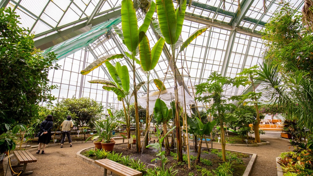 Hakodate Tropical Botanical Garden showing a garden and interior views