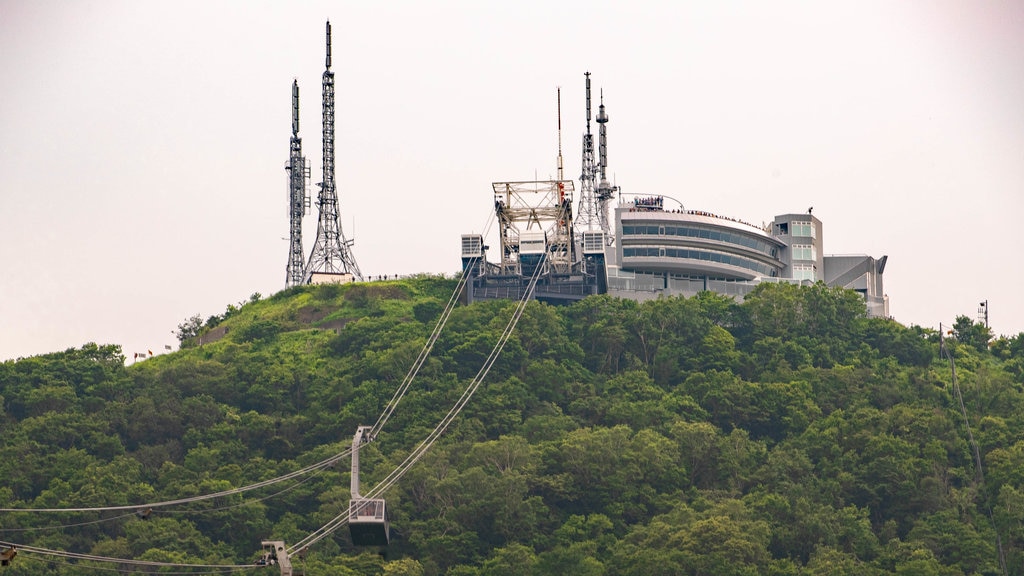 Hakodate Ropeway showing a gondola and landscape views