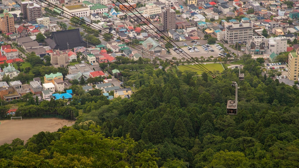 Hakodate Ropeway showing a gondola and a city