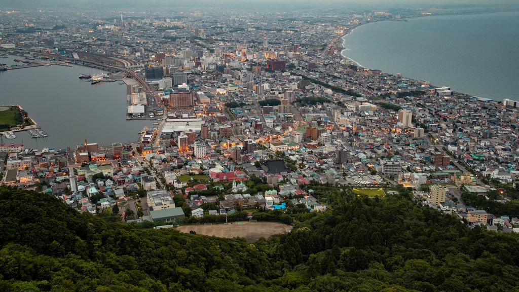 Hakodate Ropeway showing landscape views and a coastal town