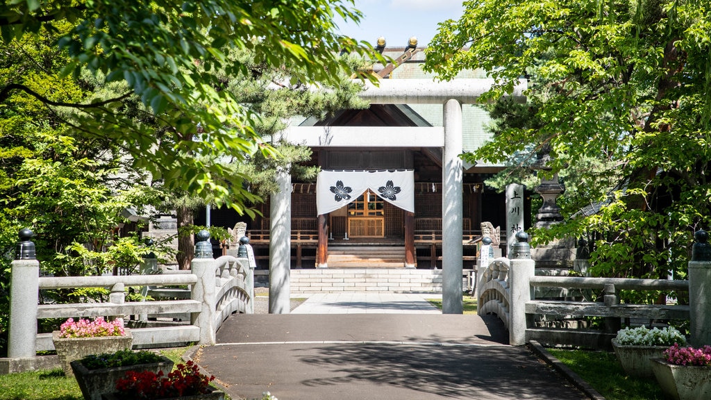 Tokiwa Park showing a garden