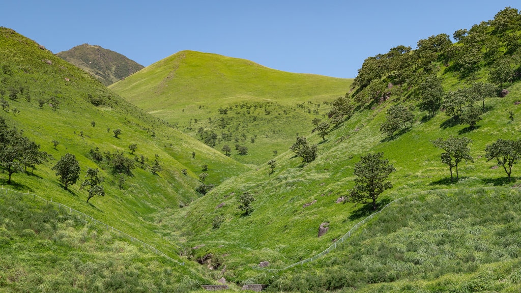 Aso Kuju National Park showing mountains and tranquil scenes