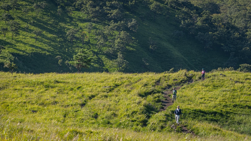 Monte Yufu mostrando escenas tranquilas y caminatas y también un pequeño grupo de personas