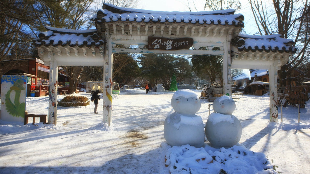 Nami Island which includes signage, a garden and snow