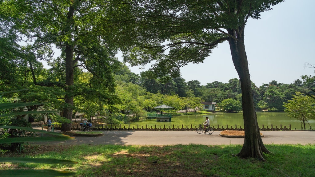 Parque de Omiya mostrando un lago o abrevadero y un jardín