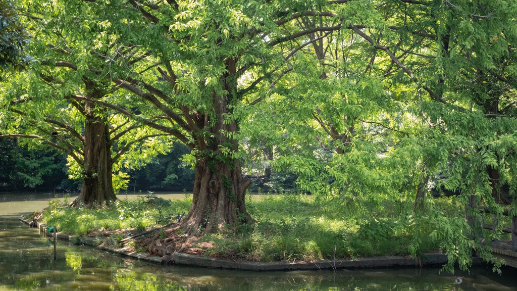 Omiya-park toont een tuin en een vijver