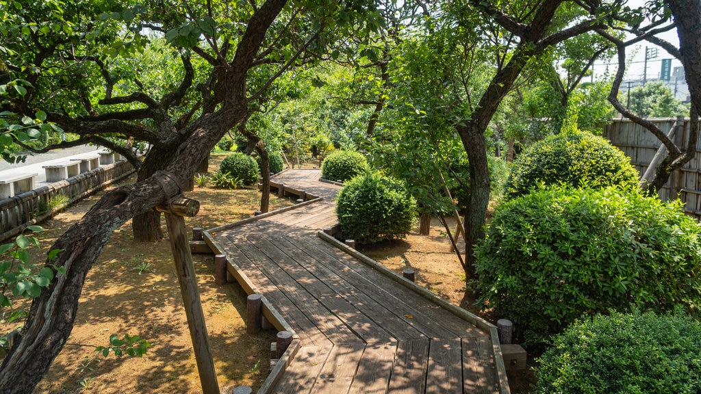 Jardim de Pessegueiros de Ikegami Baien mostrando um jardim