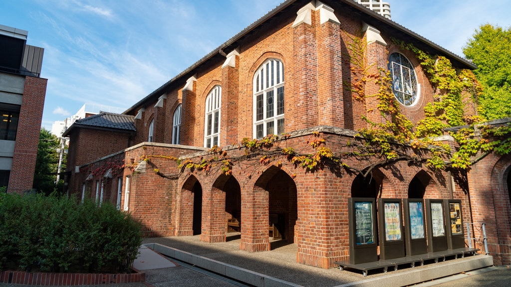 Universidad de Rikkyo