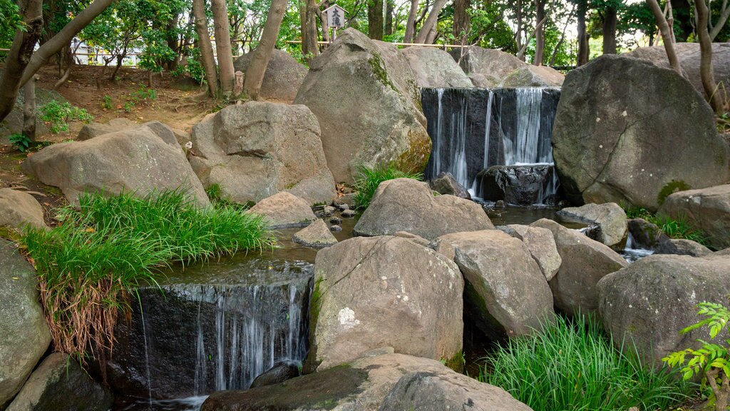 Jardim Heisei caracterizando um rio ou córrego