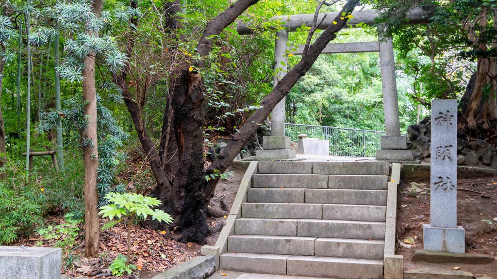 Castelo de Chiba que inclui um jardim