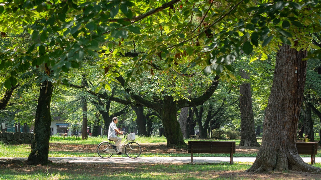 Parque de Omiya que inclui um parque e ciclismo assim como um homem sozinho