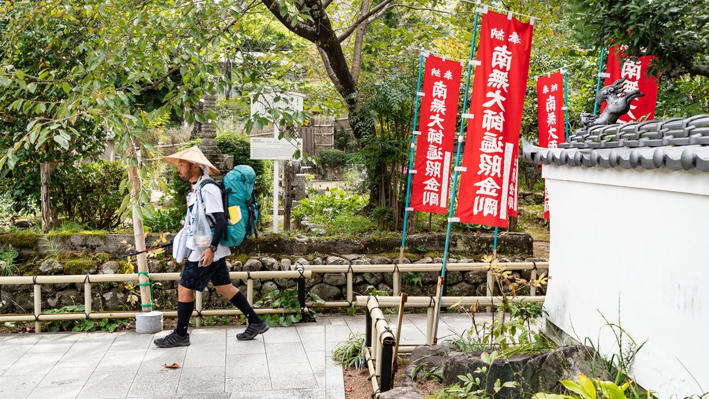 Yasaka Temple showing a garden as well as an individual male