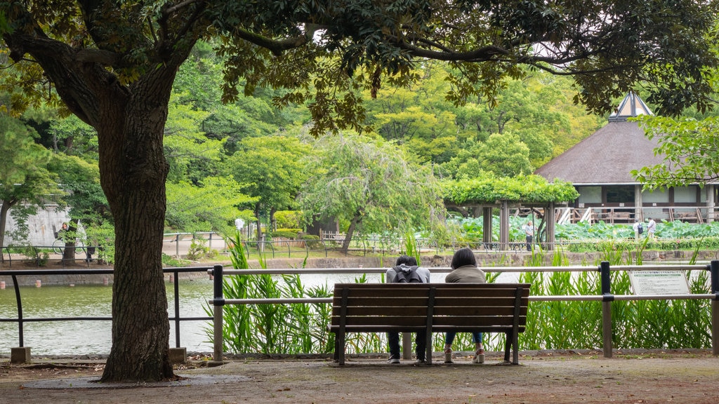 Japão mostrando um lago e um parque assim como um casal