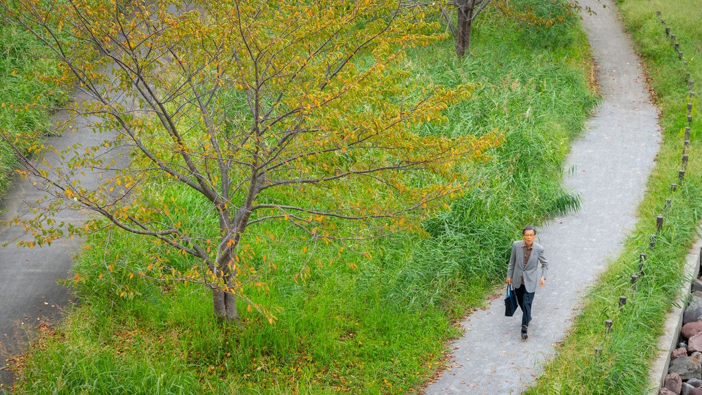 Ojima Komatsugawa Park showing a garden as well as an individual male