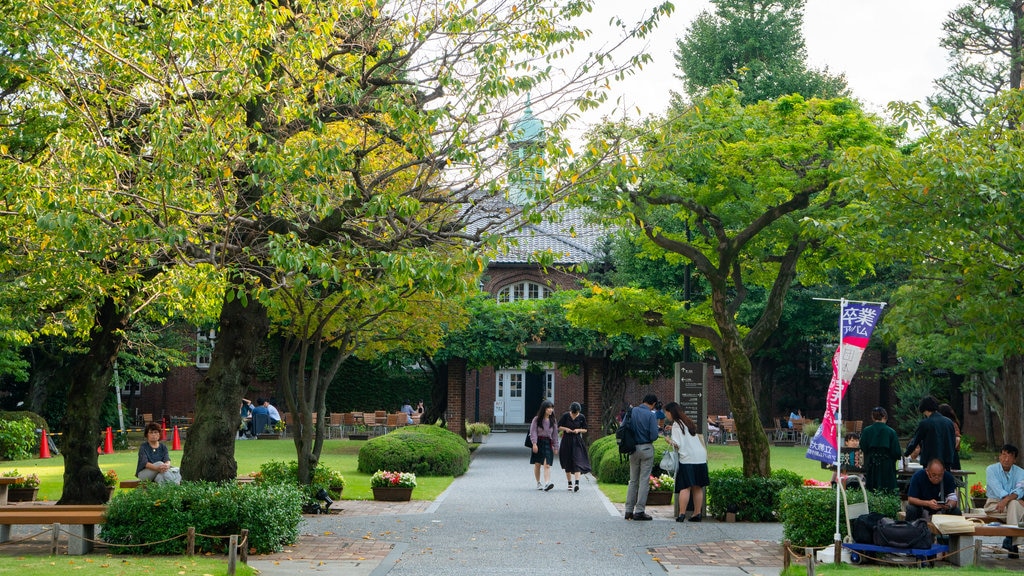 Universidade Rikkyo mostrando um jardim