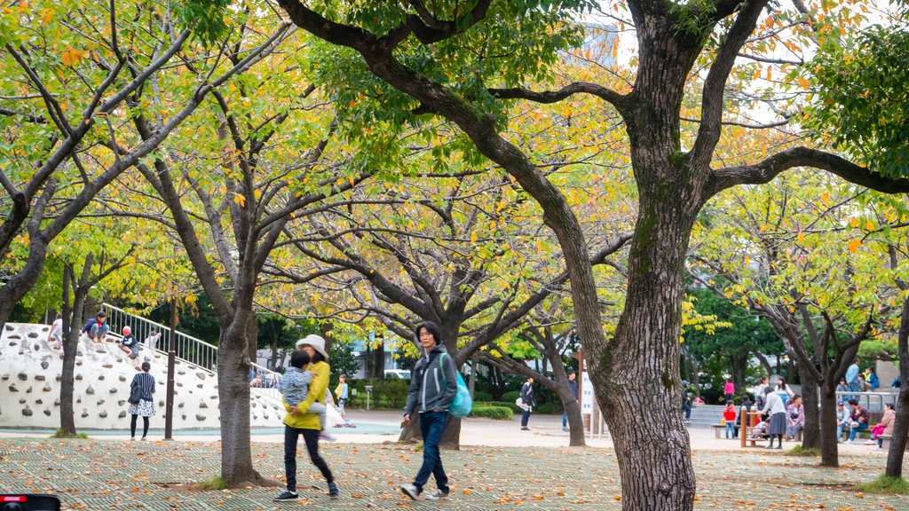 Parque Gyosen ofreciendo jardín y colores de otoño y también una familia