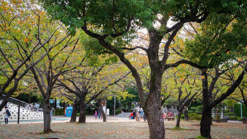 Gyosen Park showing a park and autumn colours