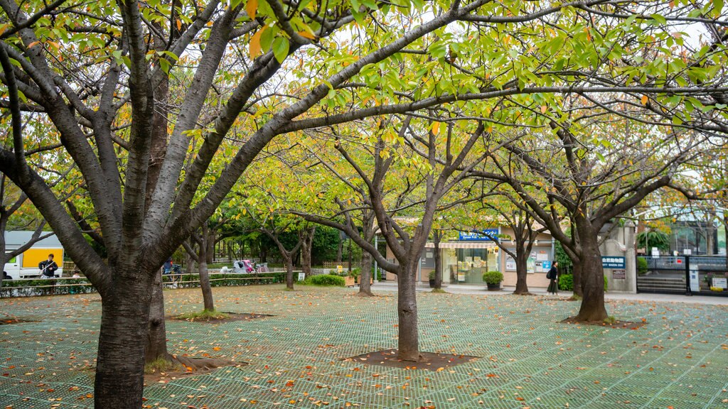 Gyosen Park featuring autumn colours and a garden