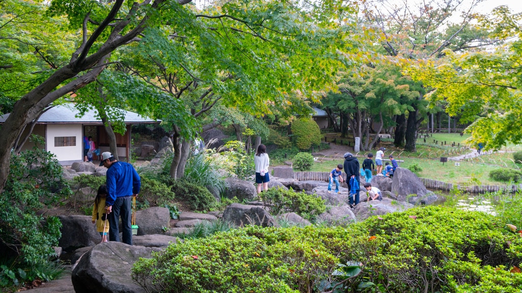 Jardim Heisei mostrando um jardim