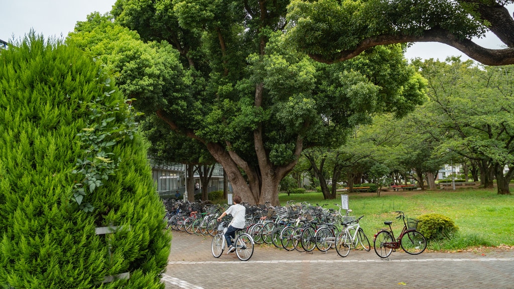 Japão caracterizando um parque