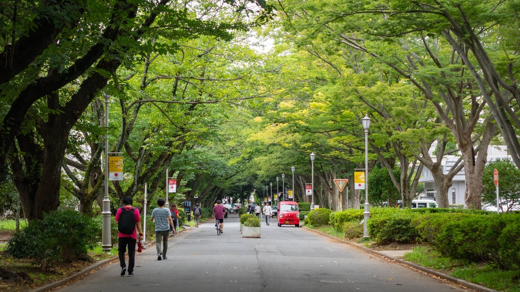 Japão caracterizando um jardim