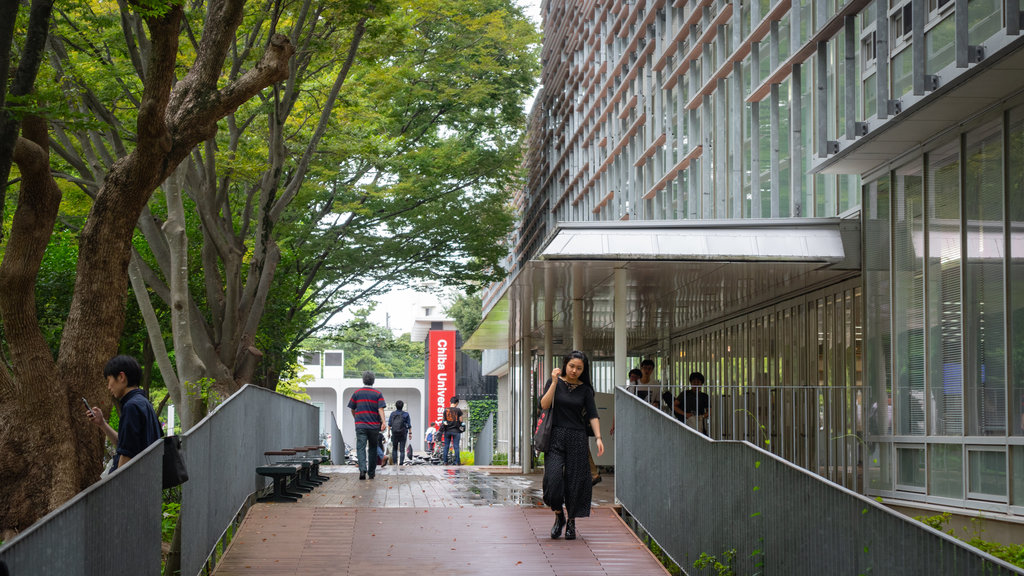 Japan which includes street scenes