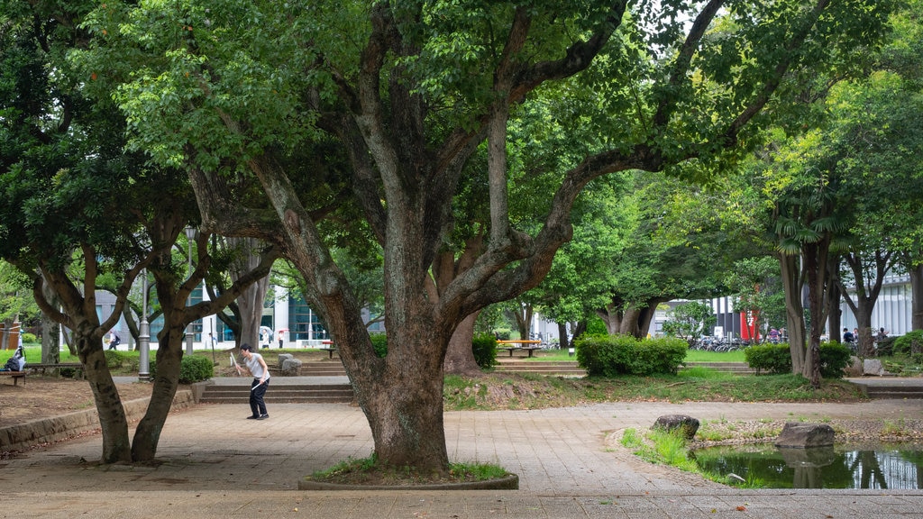 Japão que inclui um jardim