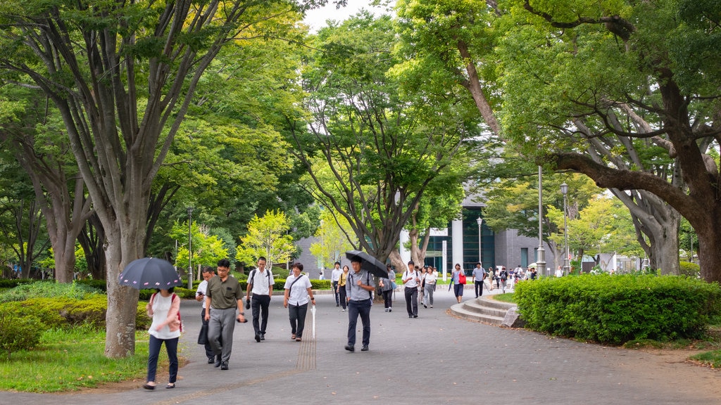 Japan which includes street scenes and a garden