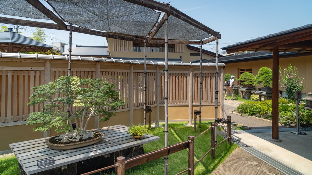 Museo del Arte del Bonsái Omiya mostrando un parque