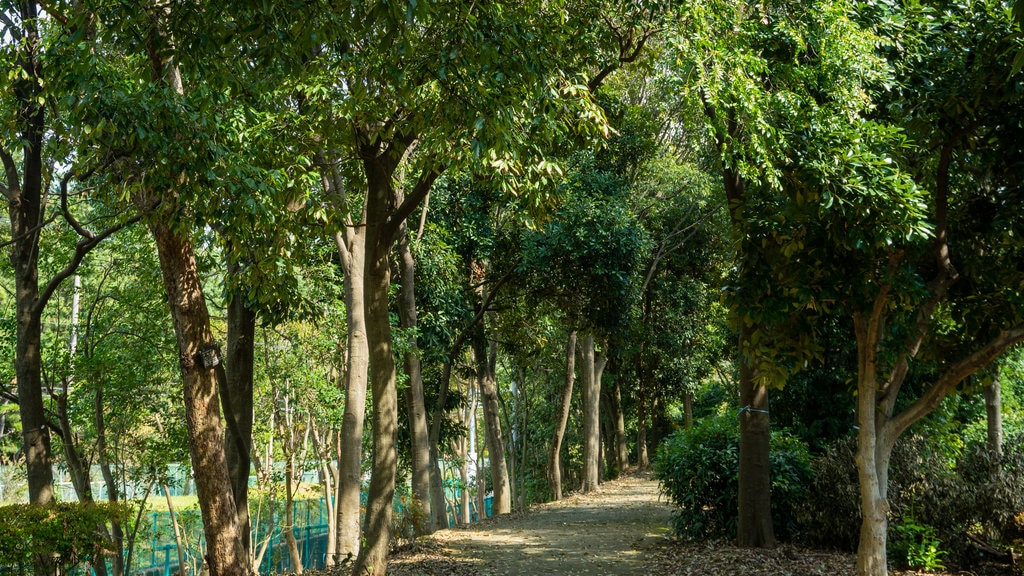 Yumenoshima mettant en vedette parc