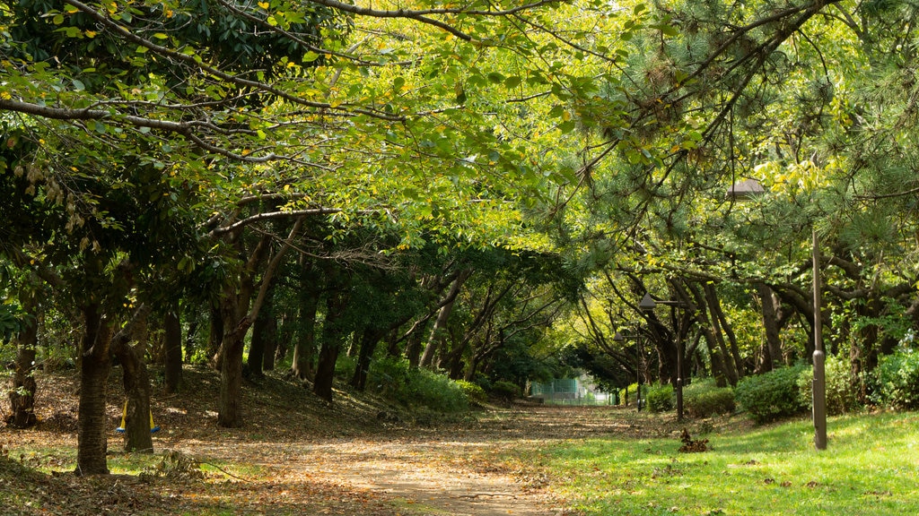 Yumenoshima que inclui um jardim