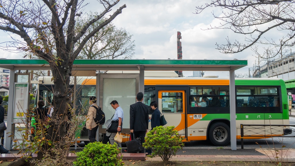 Yumenoshima showing street scenes as well as a small group of people