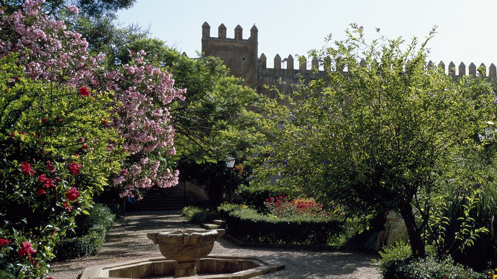 San Juan de Dios showing wild flowers and a park