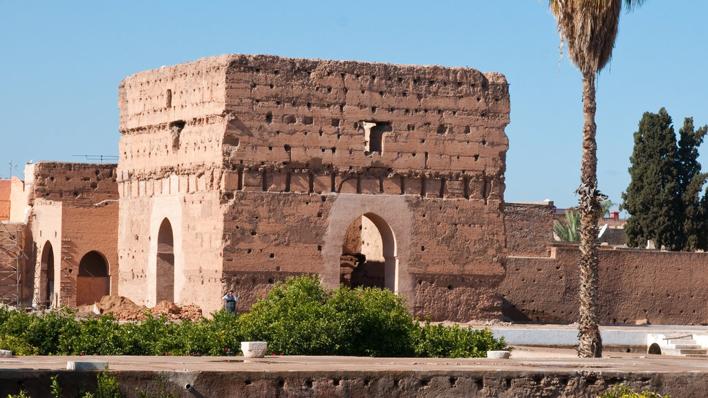 Palacio El Badi mostrando elementos del patrimonio