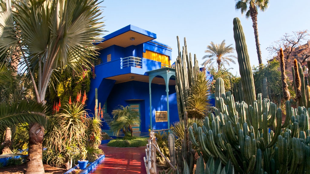 Majorelle Gardens which includes a park