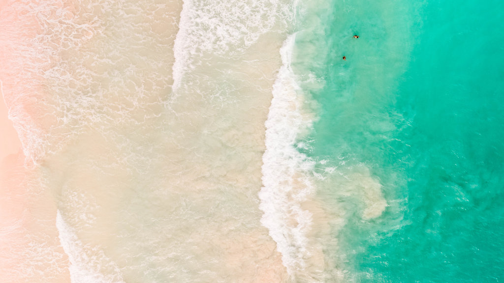 Ilha de Eleuthera e Harbour mostrando paisagens litorâneas, uma praia de areia e cenas tropicais