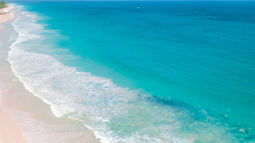 Eleuthera and Harbour Island which includes tropical scenes, general coastal views and a sandy beach