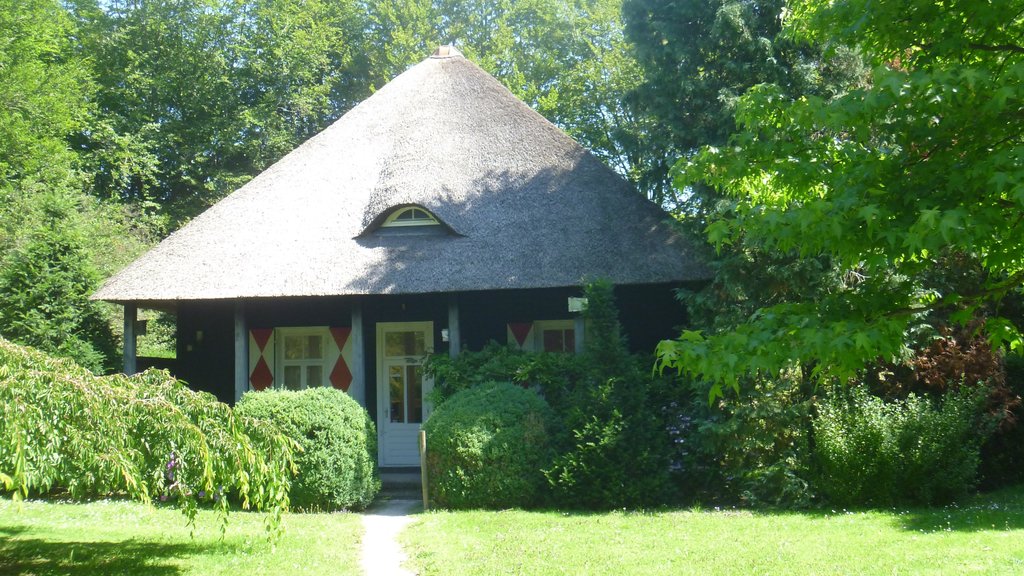 Park Clingendael showing a garden and a house