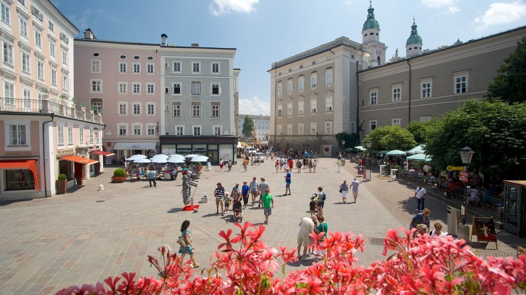 Salzburgo mostrando flores, una ciudad y un parque o plaza