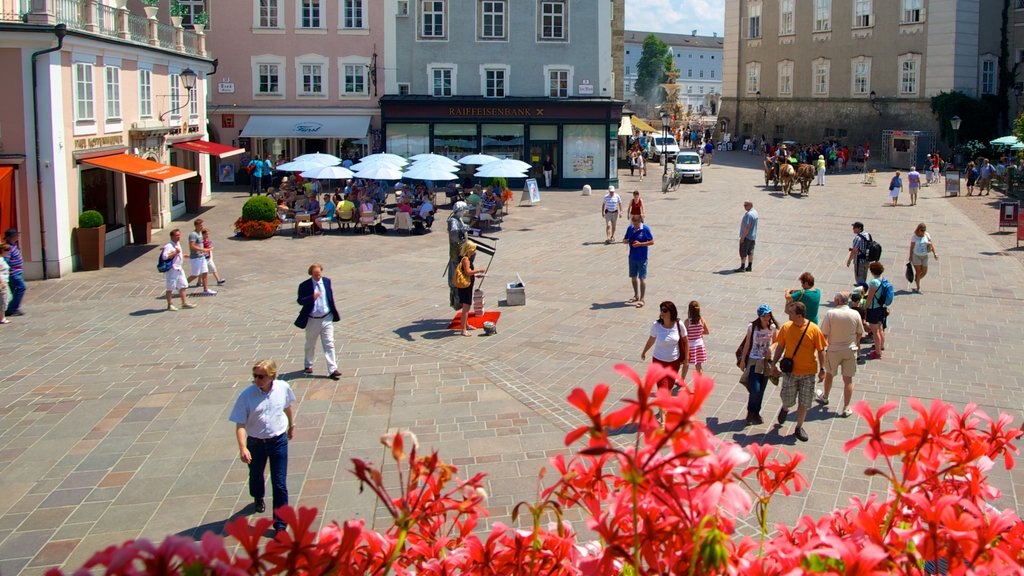 Salzburgo mostrando una ciudad, un parque o plaza y flores