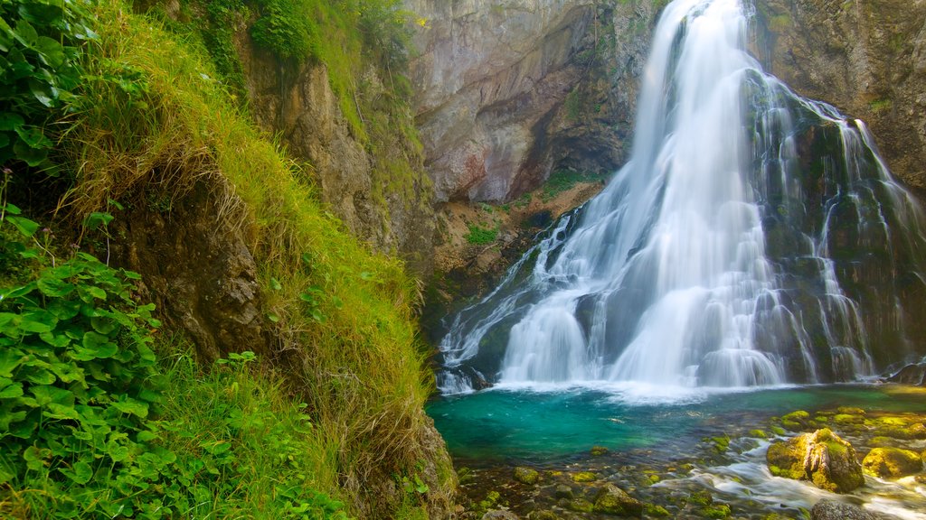 Cataratas de Golling que incluye un estanque y cataratas