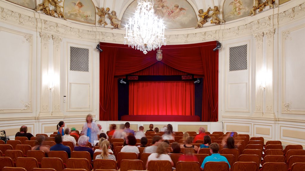 Salzburgo que incluye vistas interiores, escenas de teatro y arte escénica