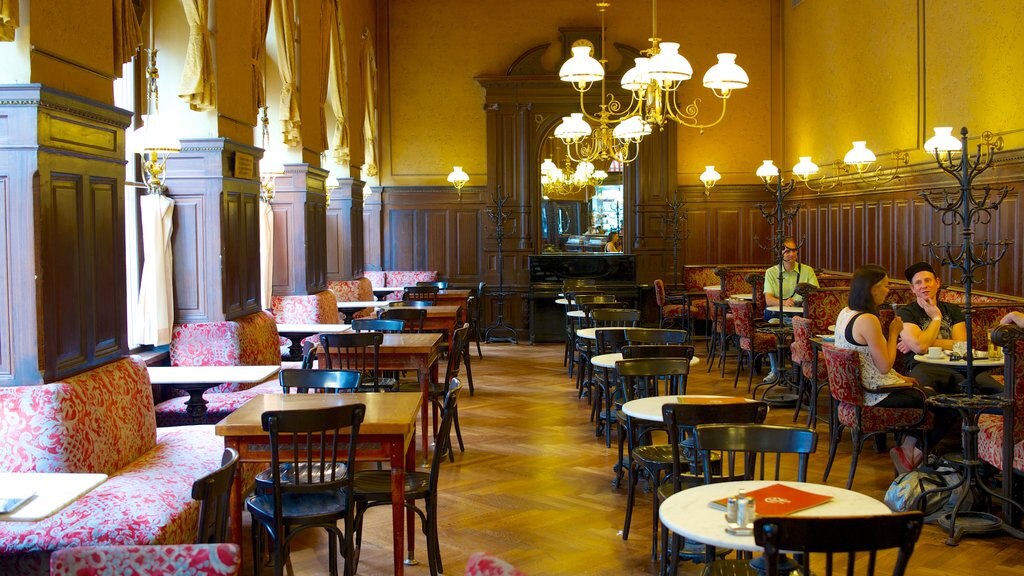 Vienna featuring interior views and café lifestyle