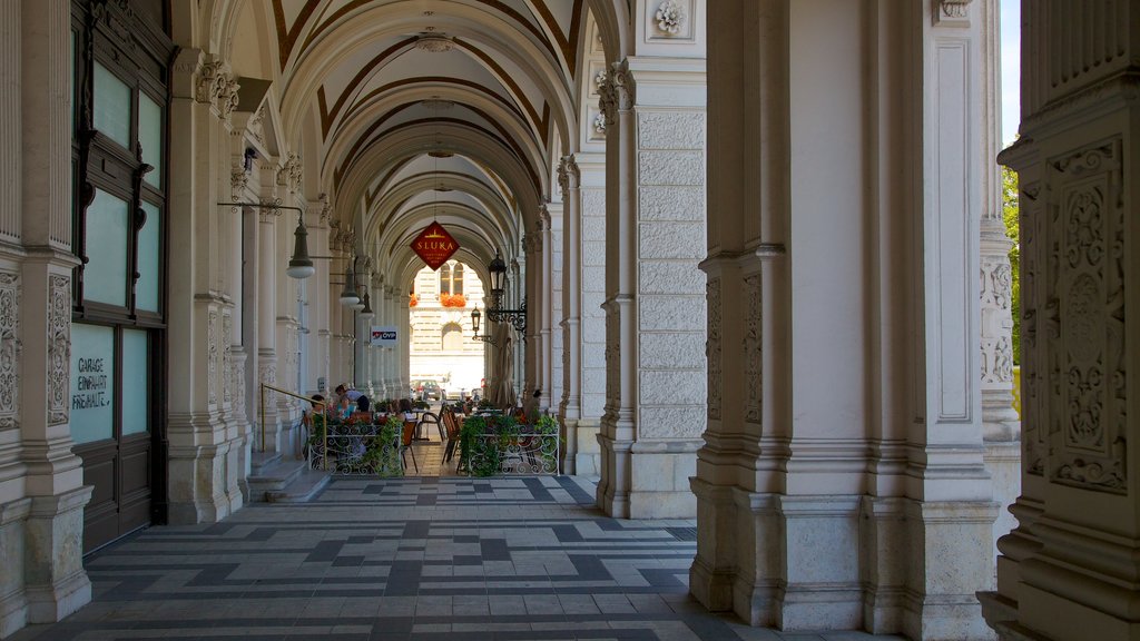 Viena mostrando una ciudad, arquitectura patrimonial y escenas de café