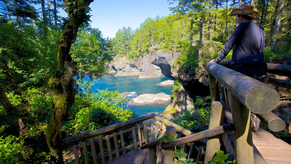 Cape Flattery featuring a bay or harbour, views and forest scenes