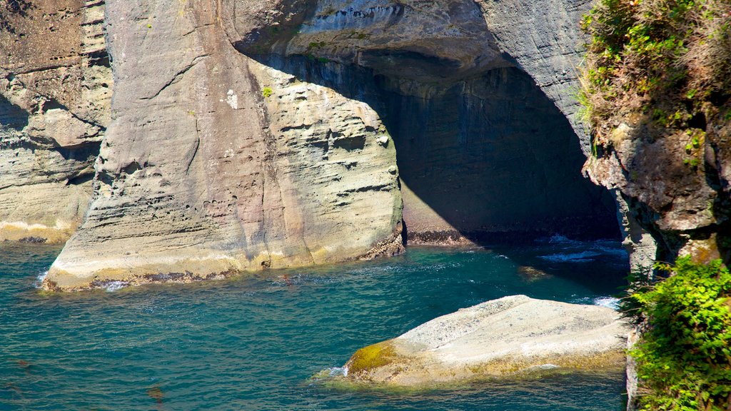 Cape Flattery som omfatter huler, udsigt over landskaber og udsigt over kystområde