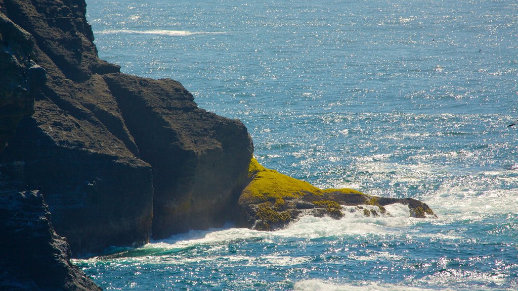 Cabo Flattery mostrando litoral rochoso e paisagens litorâneas