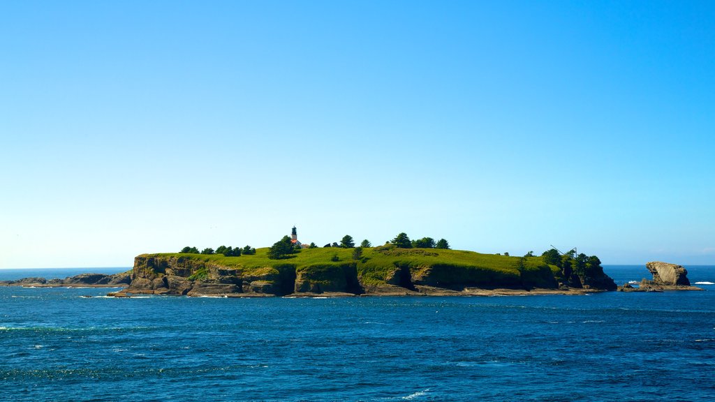 Cabo Flattery que inclui paisagens litorâneas, paisagens da ilha e paisagem