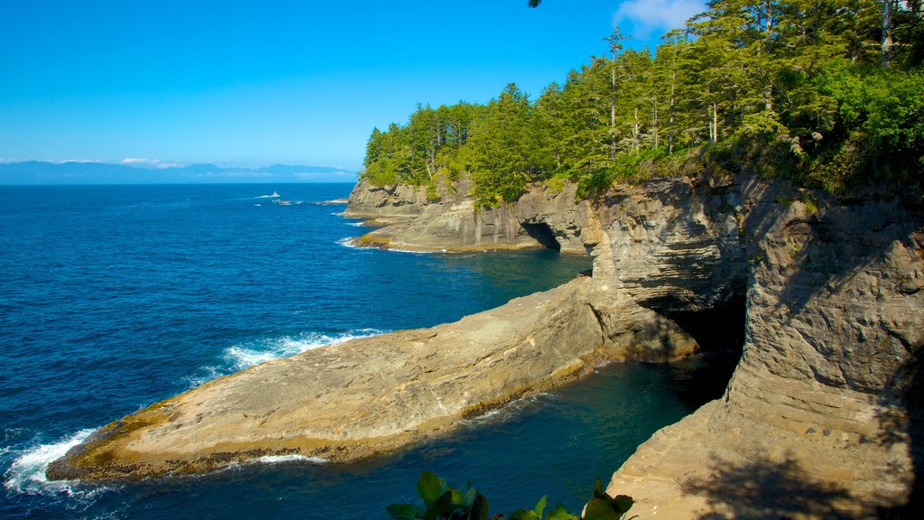 Cape Flattery featuring rugged coastline, landscape views and forest scenes